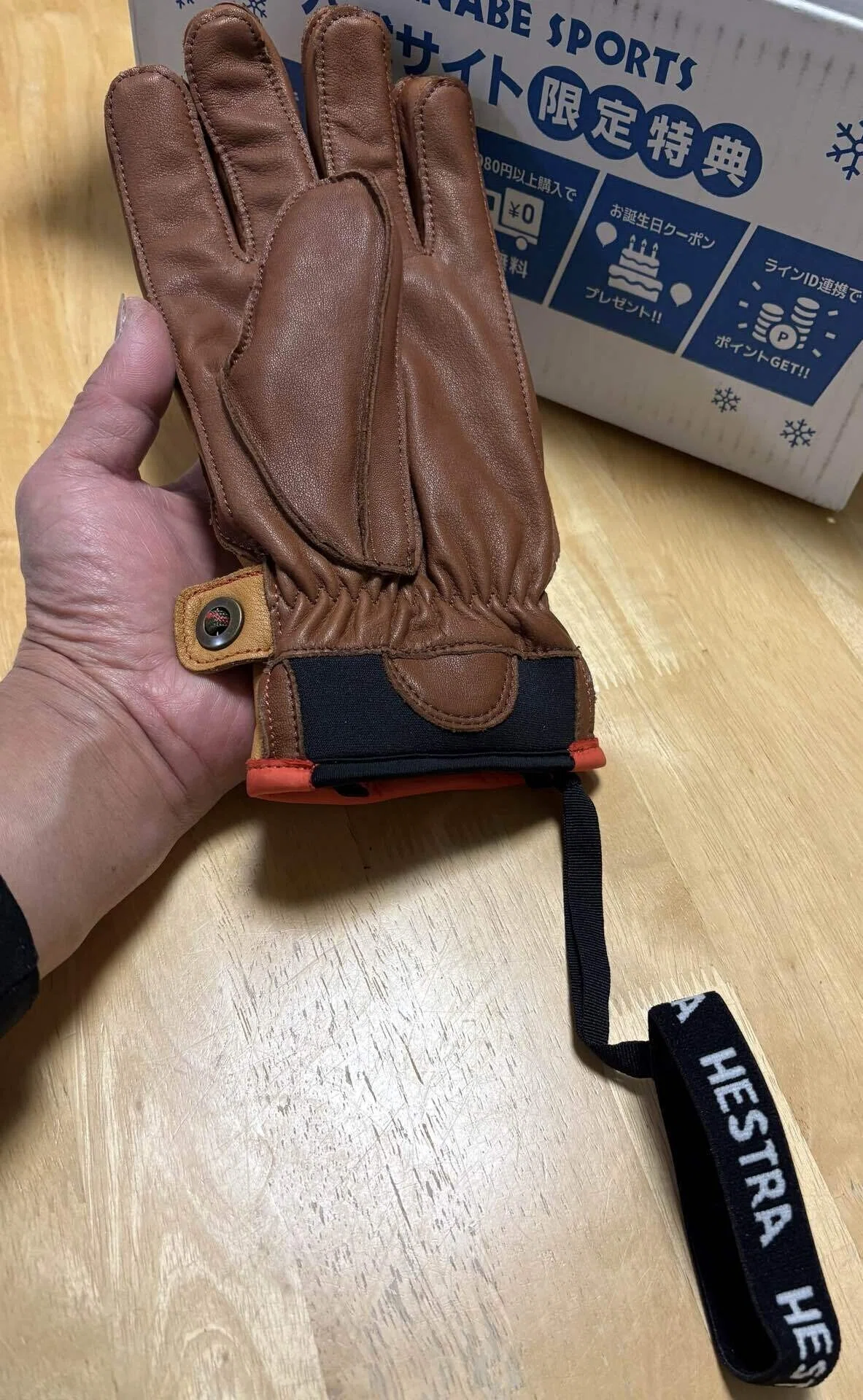ヘストラのスキーグローブ『ワカヤマ』を購入しました｜すだじい