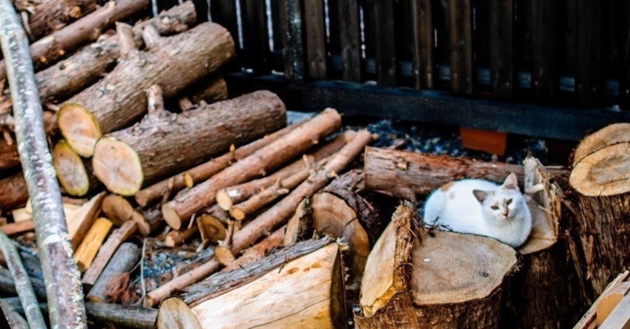 じぶんを疑い 他人の悪いところに気づけない人 谷村さやか note