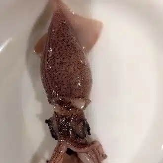 起業させたい妻
