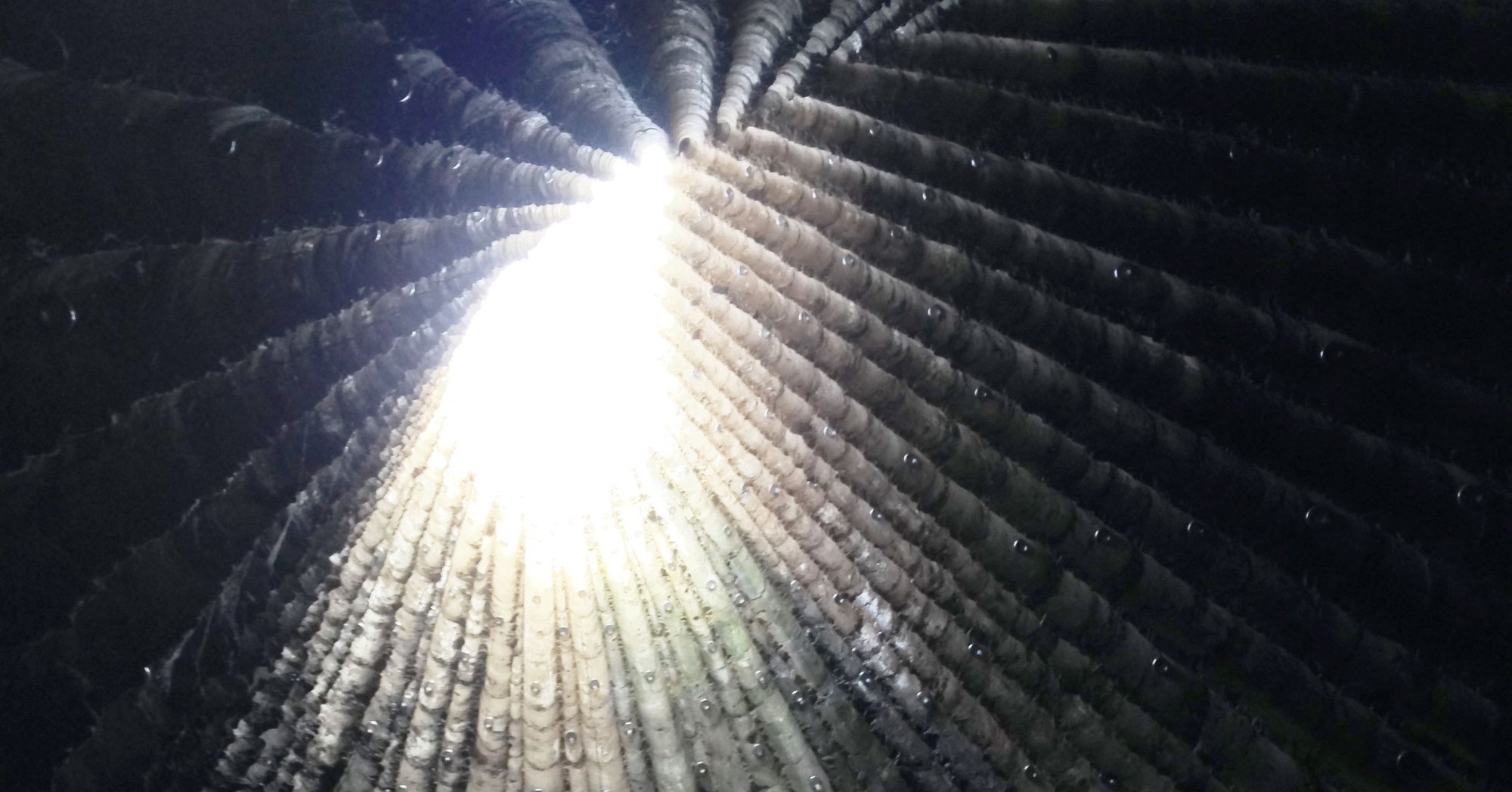 小さな巨人 ブラザー クラウス野外礼拝堂 ピーター ズントー 07 建築探訪記 104natsui Note 小さな巨人 ブラザー クラウス野外礼拝堂 ピーター ズントー 07 建築探訪記 104natsui Note