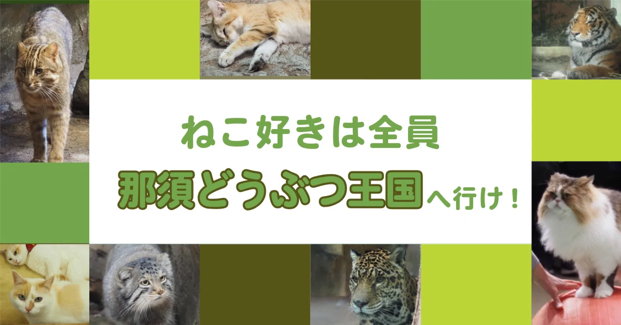 ねこ好きは那須どうぶつ王国へ行け｜的射まくり