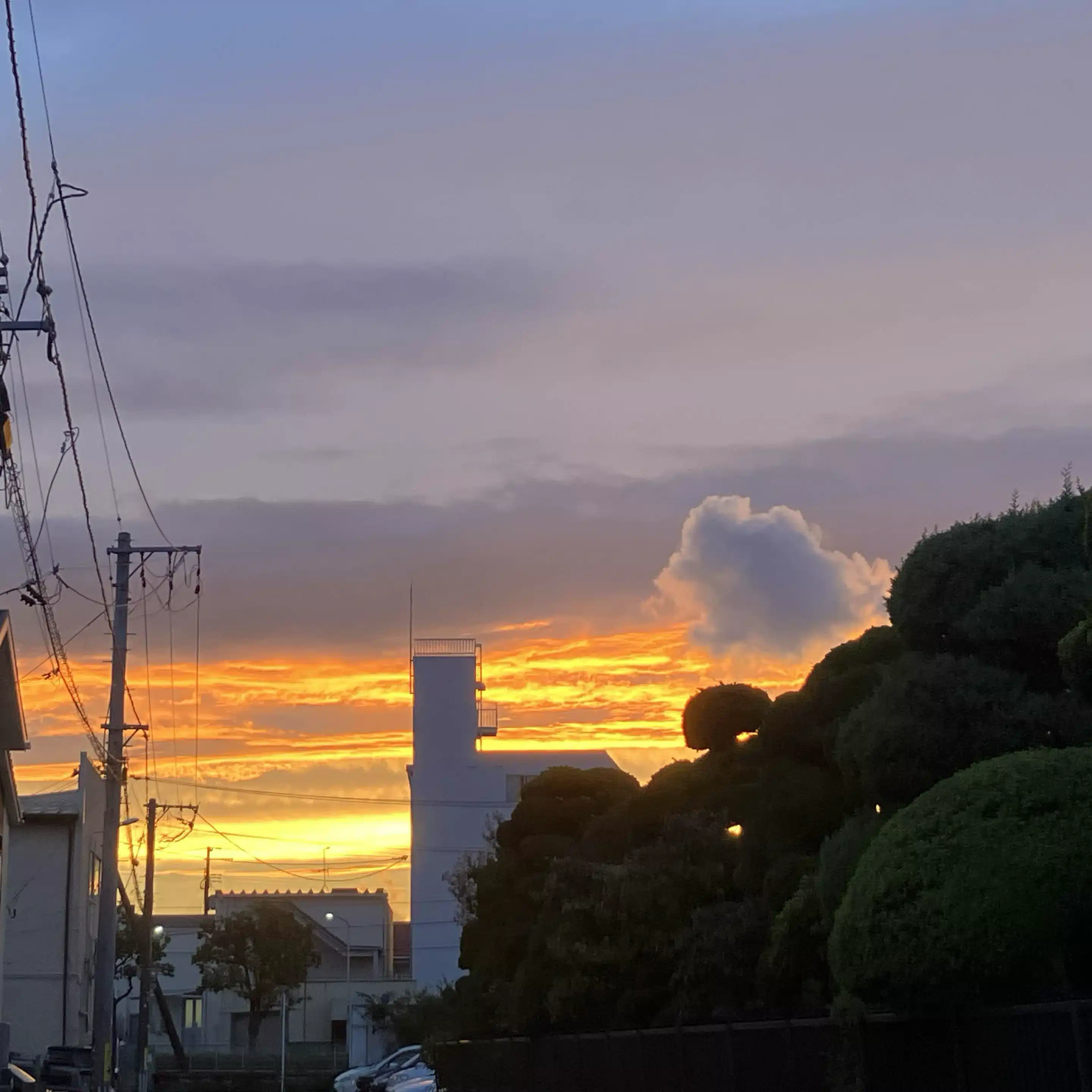 石井智稀