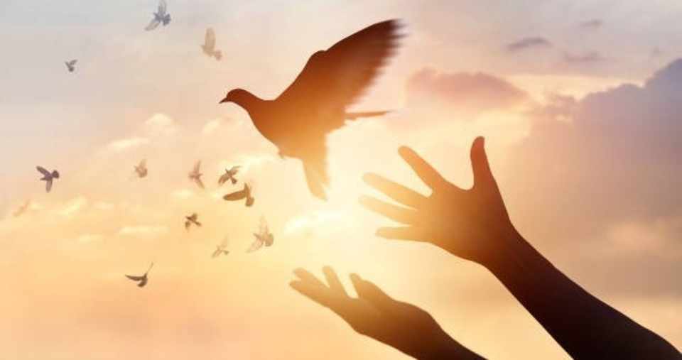 2 憎んでいるものをすべて許す 春花 Note