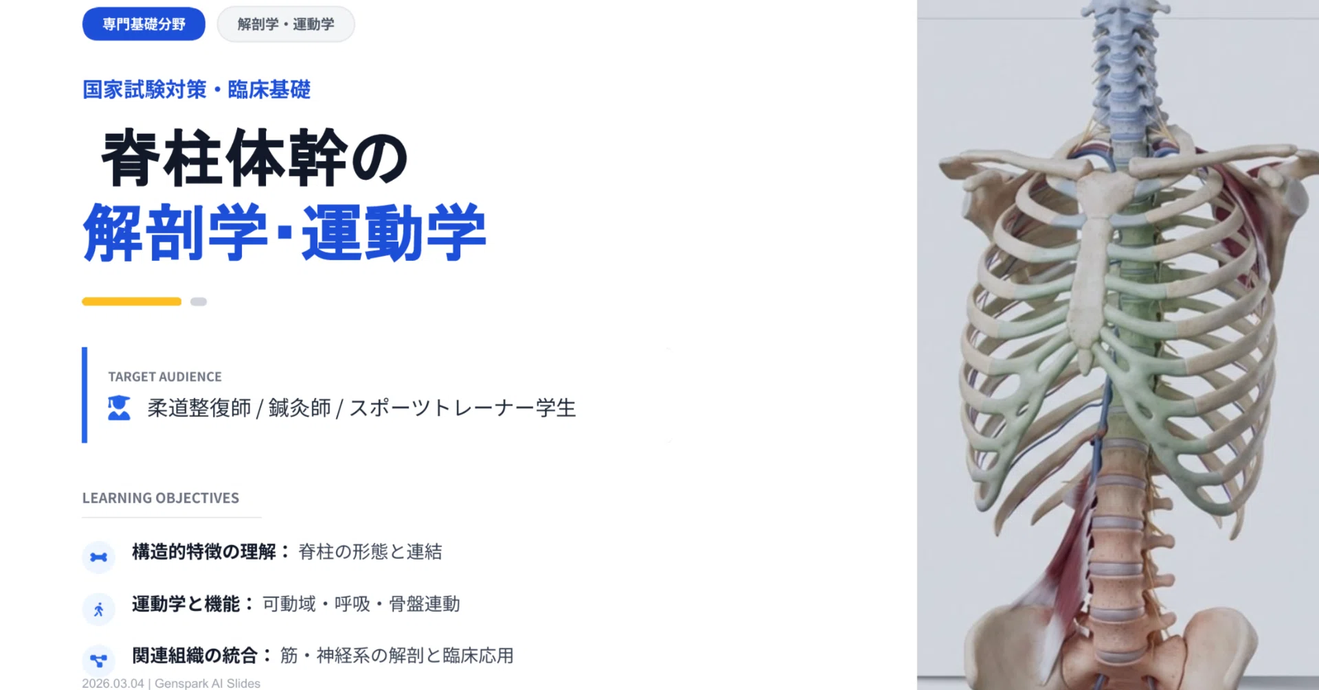 基礎・臨床解剖学 脊柱 脊髄 自律神経 エンタプライズ | - カイロ 整体