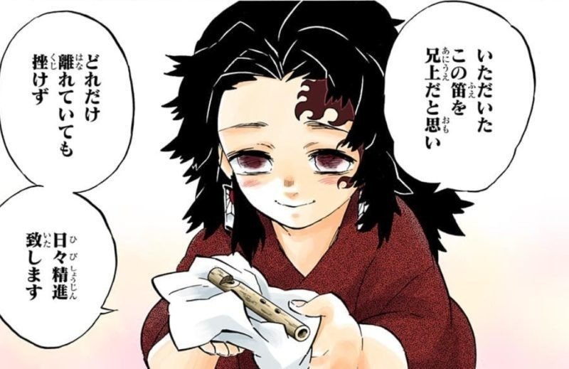 鬼滅の刃巻 感想 嫉妬の炎とは太陽のまばゆい光か ぶれいず Note