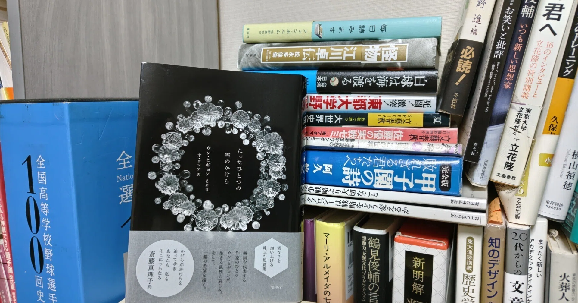 新刊書評/ウン・ヒギョン著、オ・ヨンア訳『たったひとつの雪のかけら