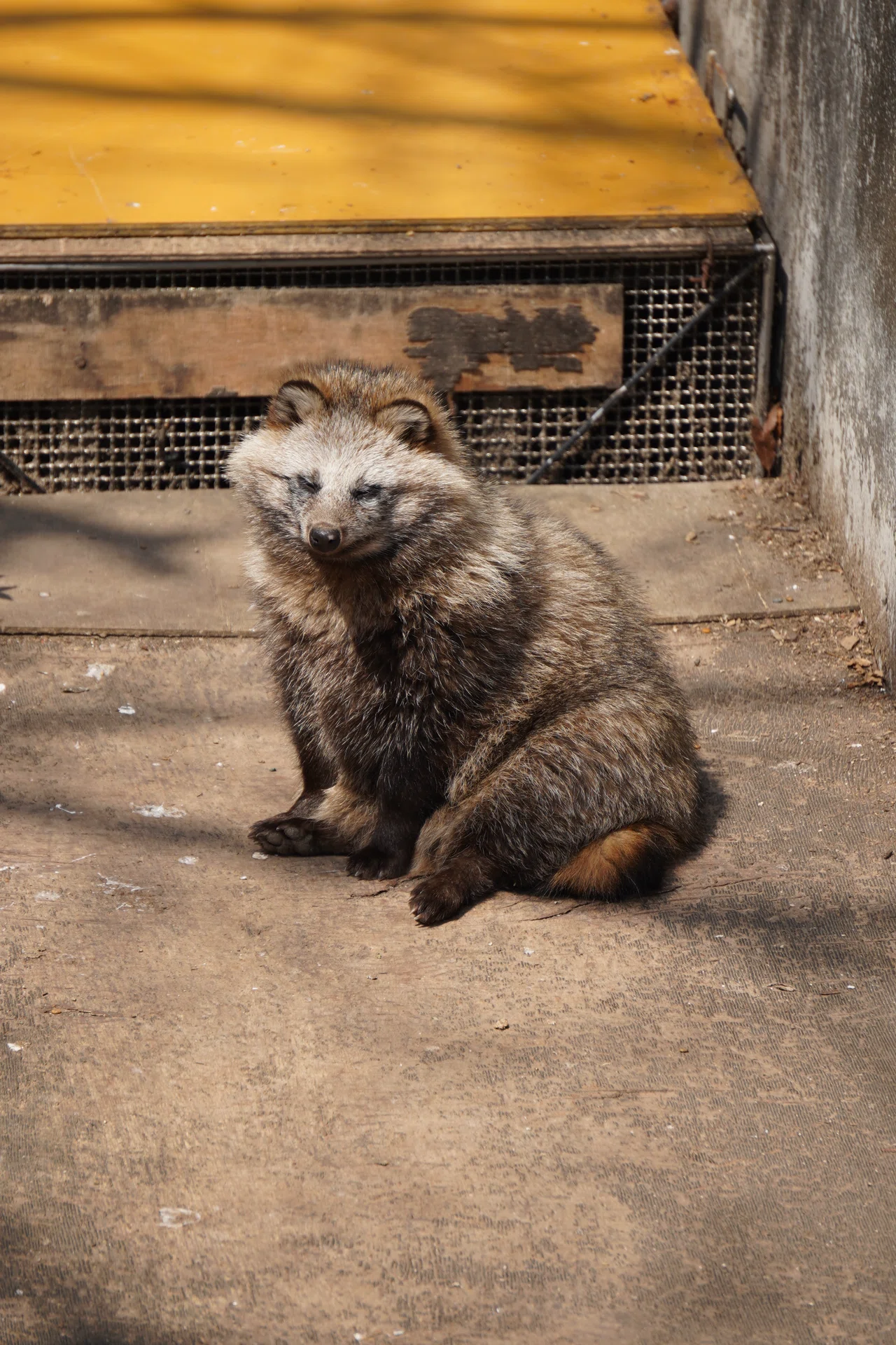 🐾北海道《旭山動物園》冬🐾｜しろおと