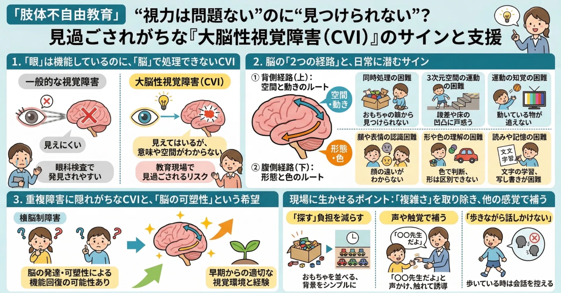 脳内　視力　子供　貴重　希少 肢体不自由教育】「視力は問題ない」のに「見つけられない」？見過ごさ