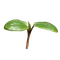 たねまき
