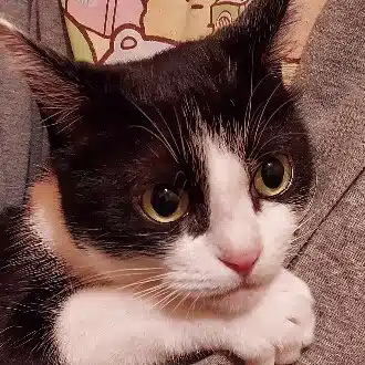 🌈あきちゃん🌈