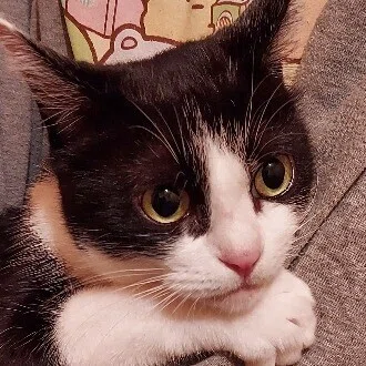 🌈あきちゃん🌈