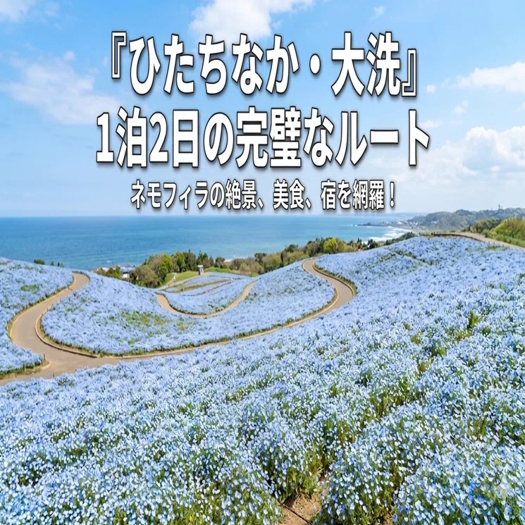 GWのネモフィラ渋滞で消耗しない。絶景と美食を網羅する「ひたちなか
