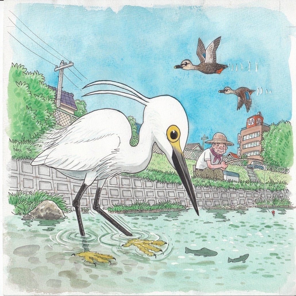 第1014回 野鳥日和 翆野 大地 Note