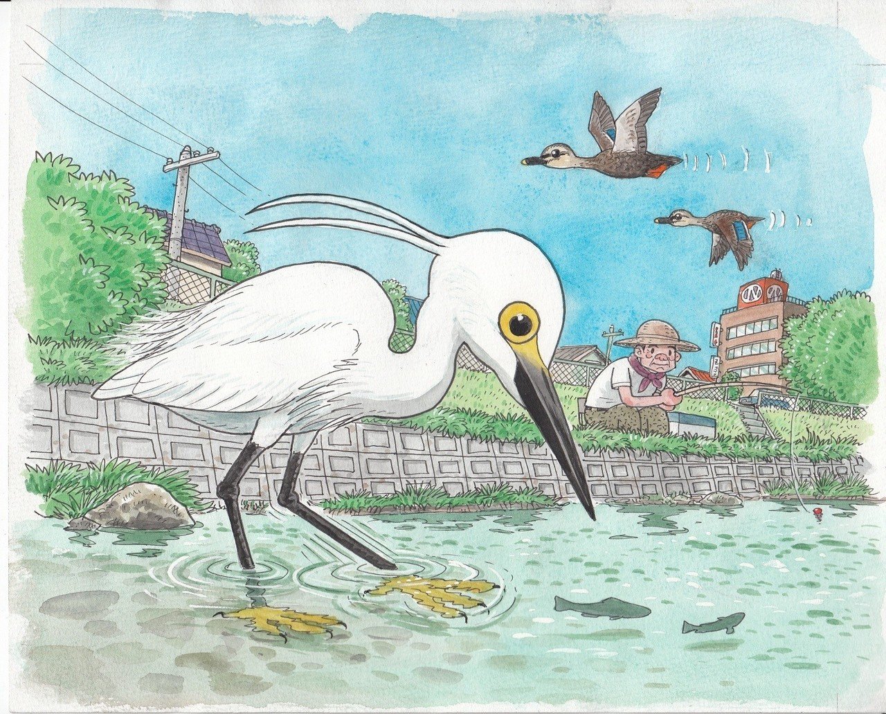 第1014回 野鳥日和 翆野 大地 Note 第1014回 野鳥日和 翆野 大地 Note