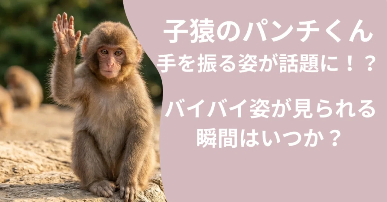 パンチくん バイバイ