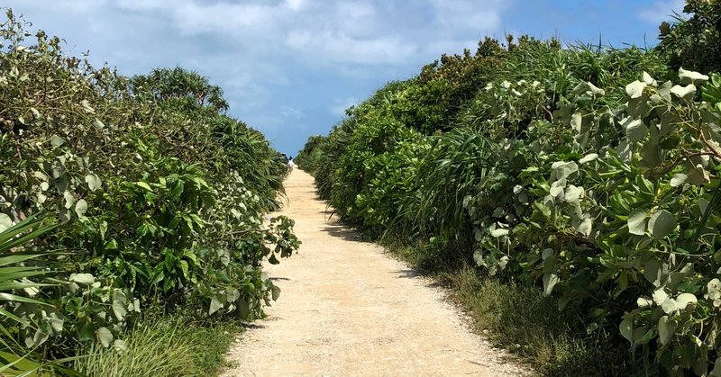 私の沖縄2019（2019年9月21日）