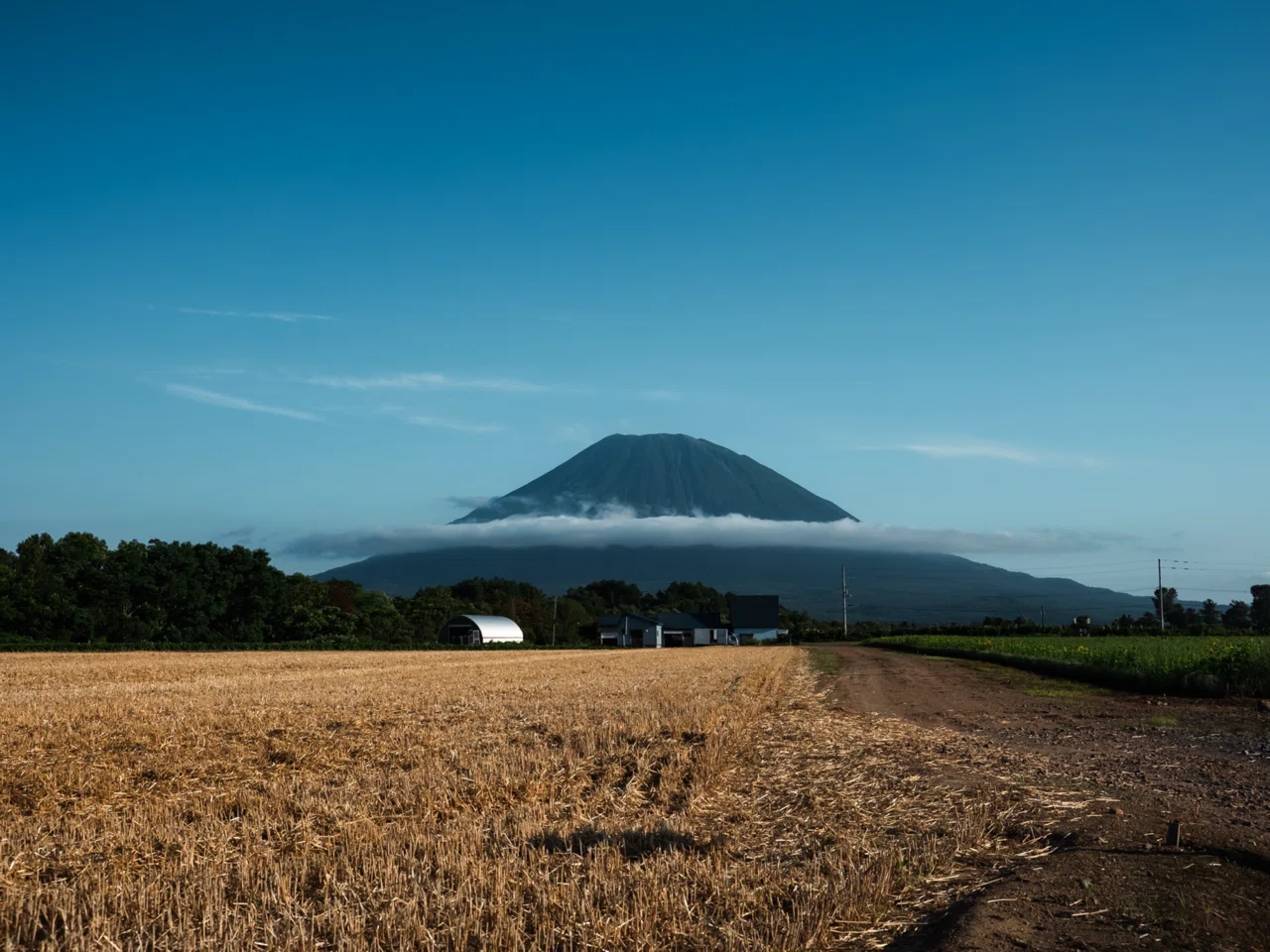 ★早春の羊蹄山・美瑛の朝・利尻島と走る電車、キャンバスのみ 小樽から車を走らせて。移住して気づいた、羊蹄山が『ただの山』では