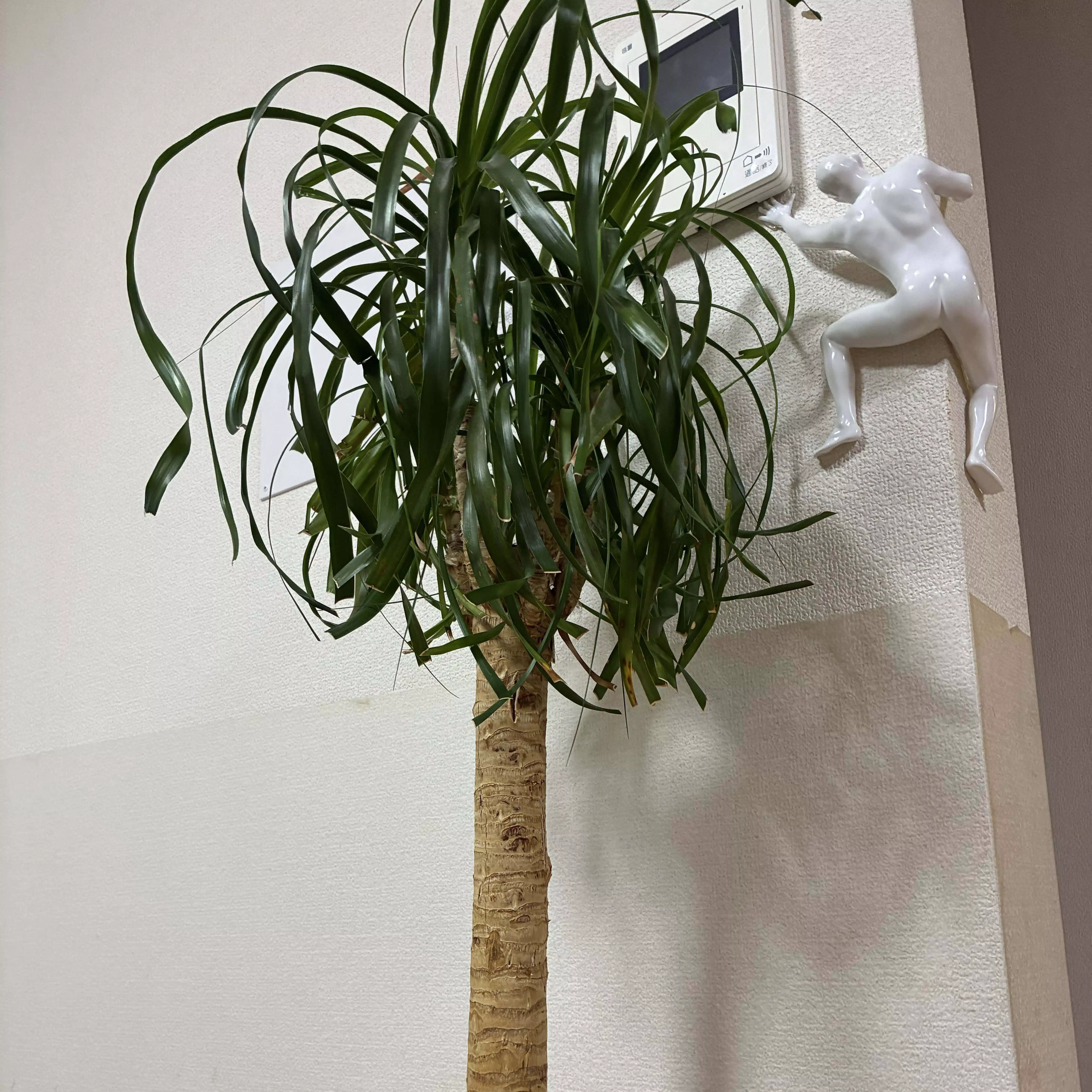 うロコ