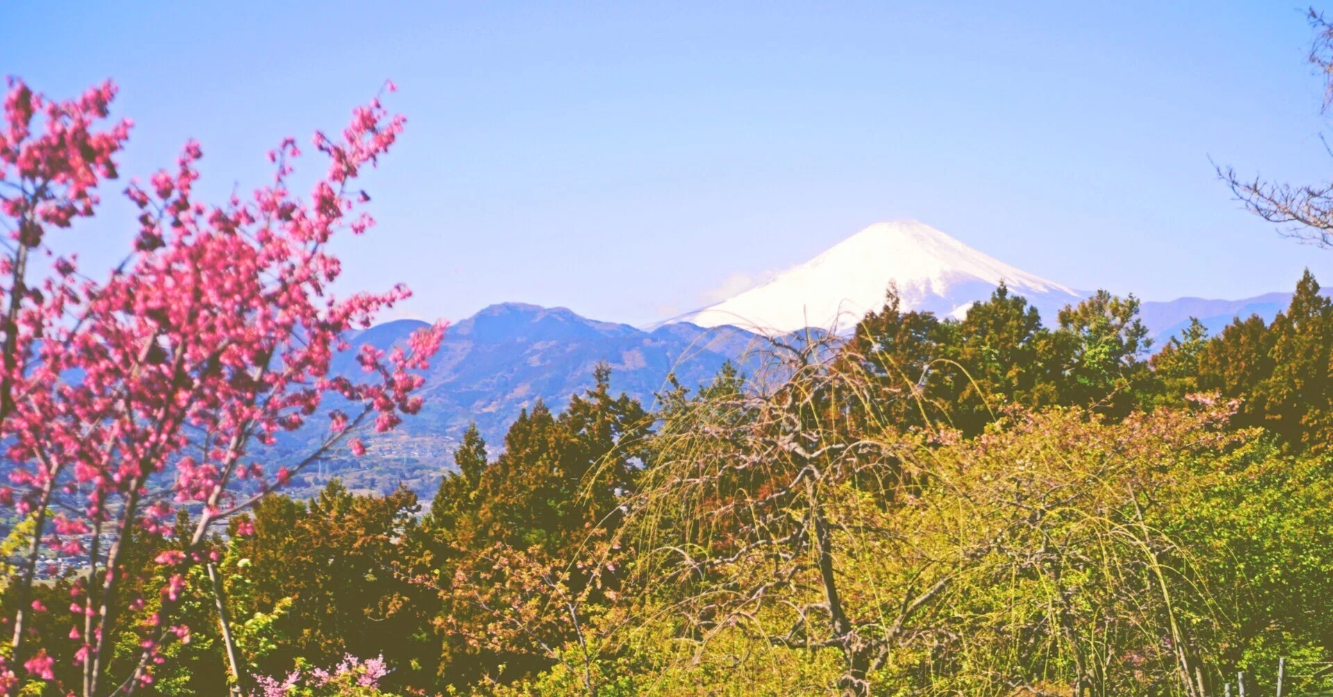 Knowing Spring on Mount Matsuda.｜登山好き漫画家モモチップス