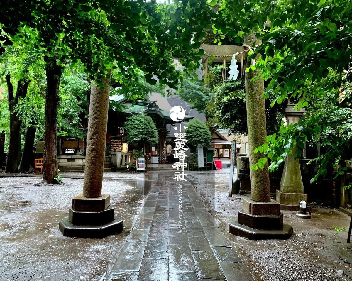 画像5