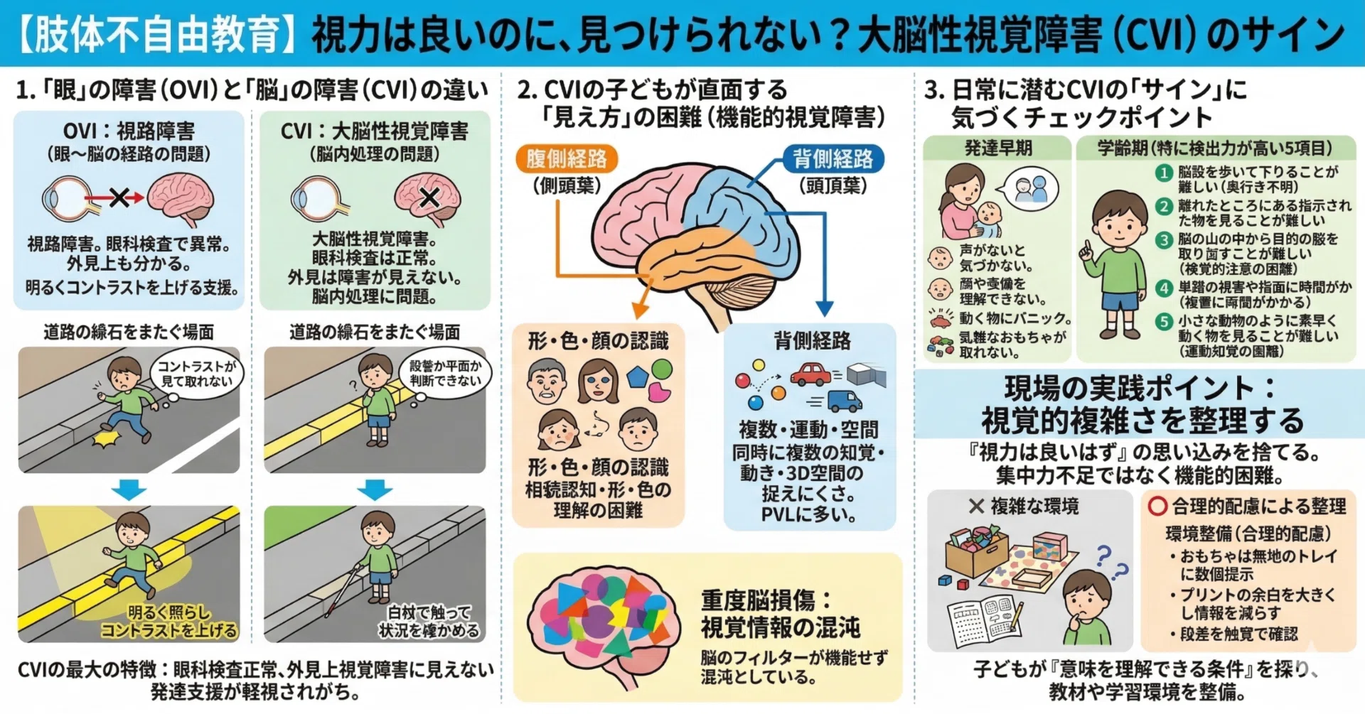肢体不自由教育】「視力は良い」のに「見つけられない」？見過ごされが