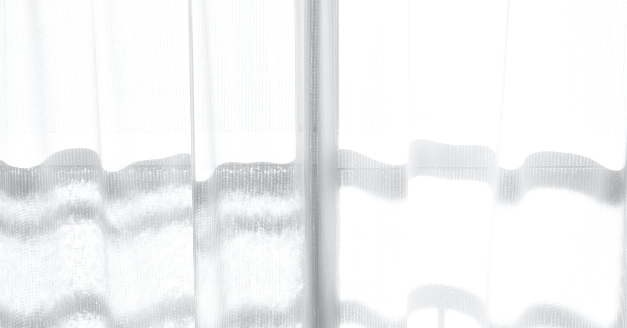 凶行を担ったのは善良な組織人だったー読書感想 29 普通の人びと 読書熊 Note 凶行を担ったのは善良な組織人だったー読書感想 29 普通の人びと 読書熊 Note