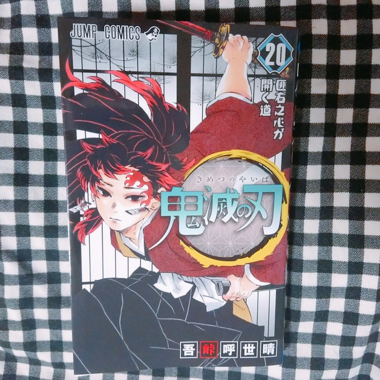 鬼滅の刃 新刊を何度も読んでる 本誌で読んでるのに何度でも読み返したくなる 縁壱の痣は生まれつきなんだよなぁ だから長く生きてもおかしくはなかったんだろうなぁ 弟なのに縁壱 兄の名前は最 Berico ベリコ Note