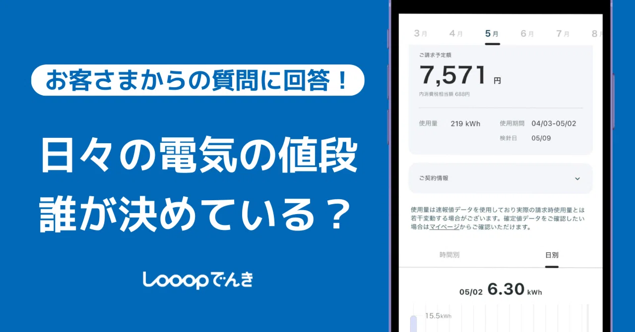 23区 大きいサイズ 【洗える】レザーライクプリーツ スカート ダーク 