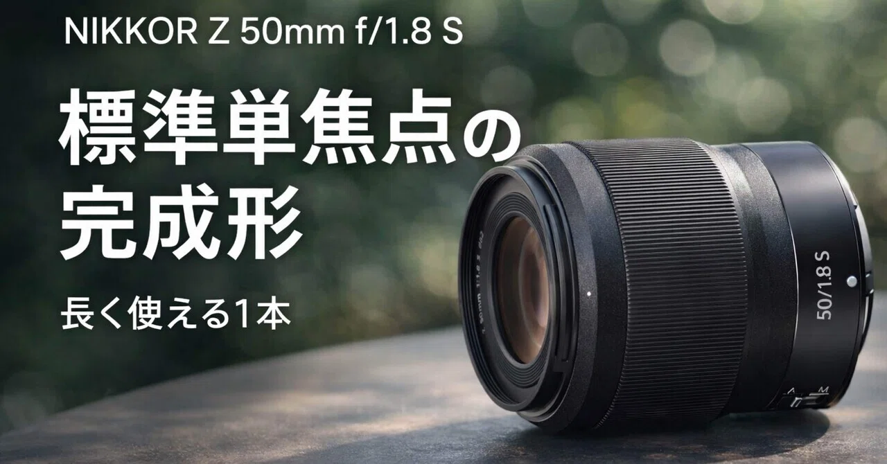 NIKKOR Z 50mm f/1.8 Sレビュー｜「とりあえずの単焦点」で終わらない