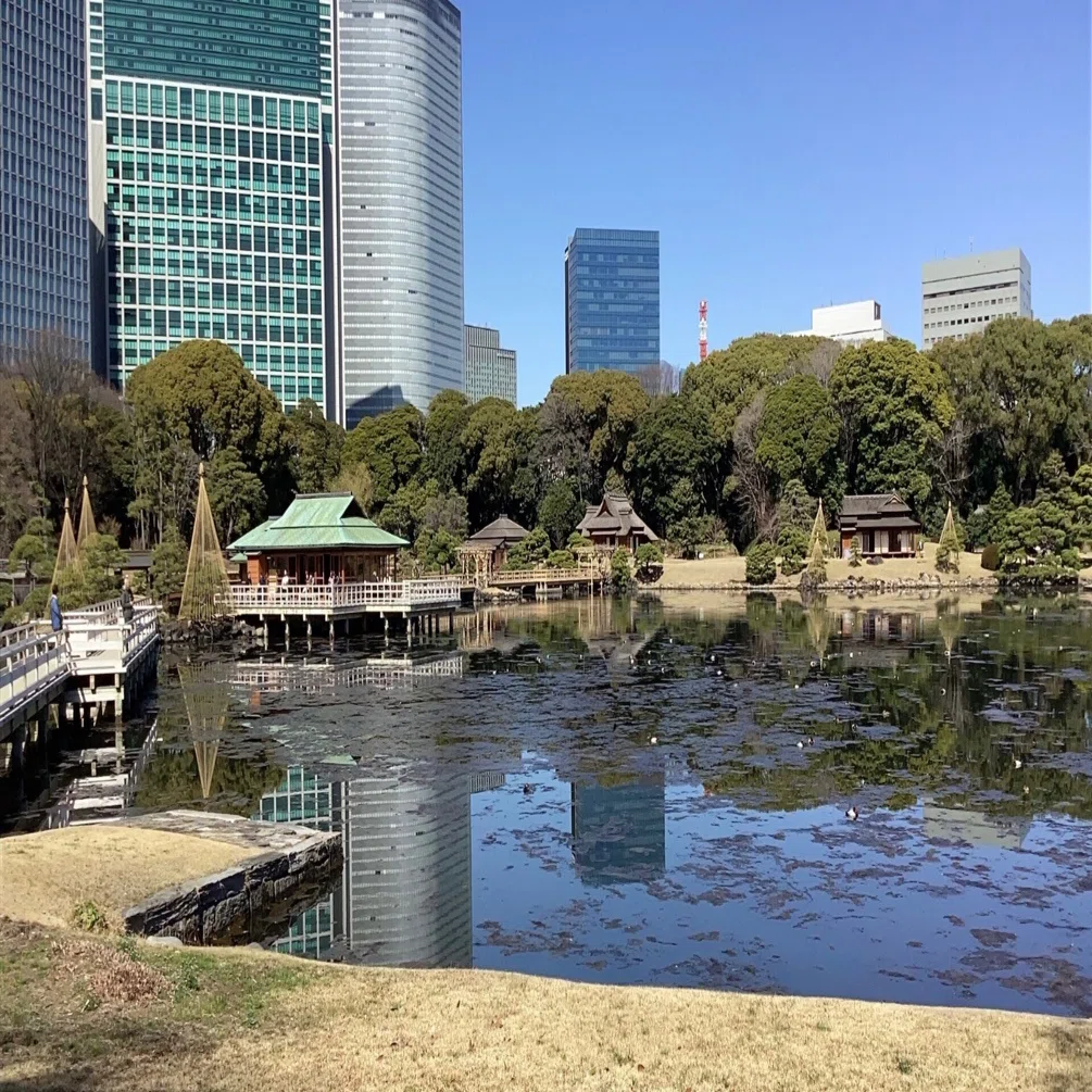 🐾66 浜離宮恩賜庭園｜mimi