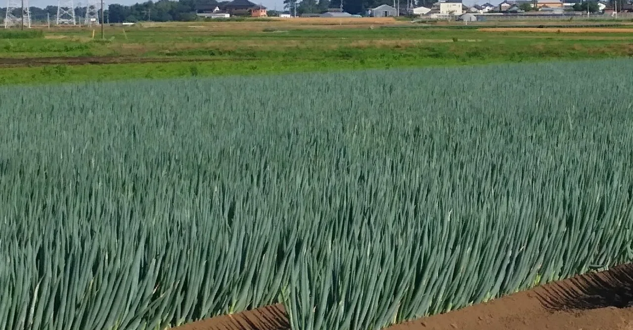 地元の人こそ読んで欲しい。地元の良さを再認識するためにやって欲しい1つのこと。|ジモ恋@1分de故郷を身近に感じるメディア