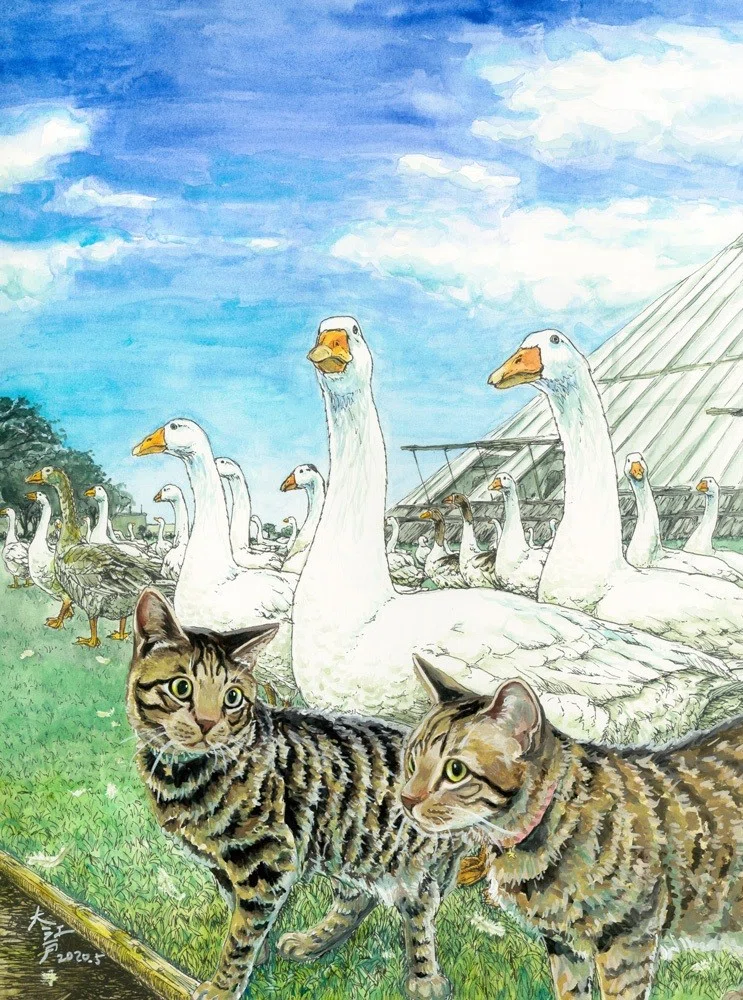 ガチョウの群れと猫たち（伊豆シャボテン動物公園）｜大江戸