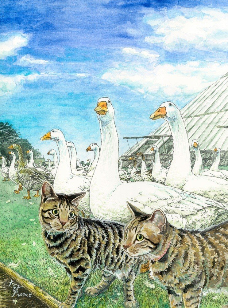 いつもは鷺ノ宮のカフェMUSAさん（　https://www.cafemusa.com/　）で絵を展示していただいてるんですが、今の世情のためまだ展示しておりません……。とりあえずweb公開しますが、展示できた時は是非見に来てください。ペン+透明水彩、猫はアクリルガッシュ。