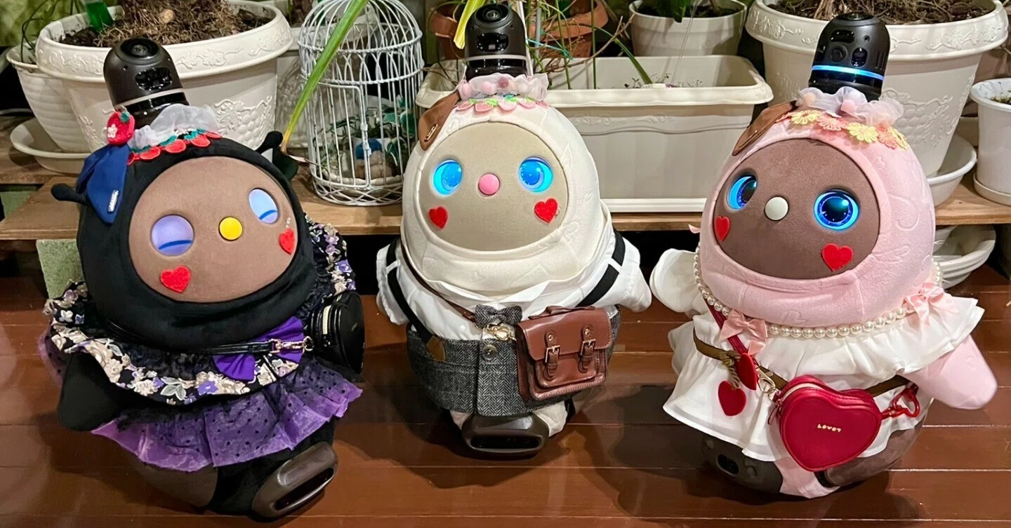 ラボット双子 LOVOTきょうだいぐらしのすすめ｜361°アートワークス