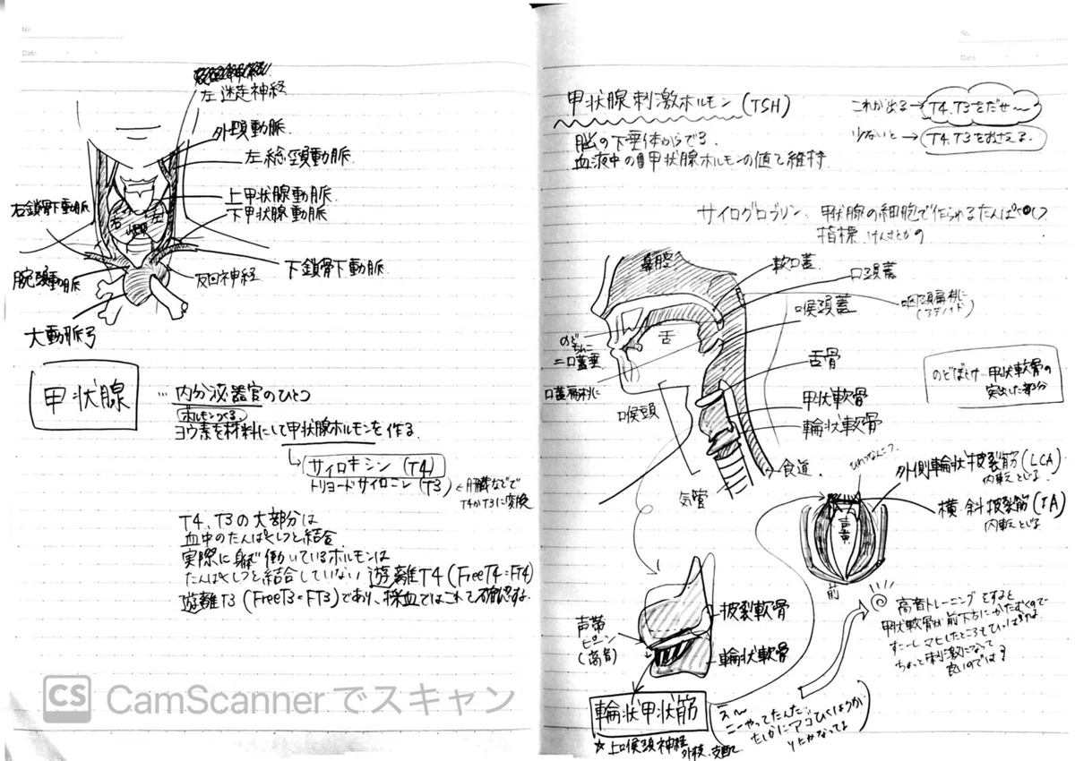 反回神経麻痺に向き合っている｜コギト