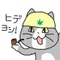 秀善🐾