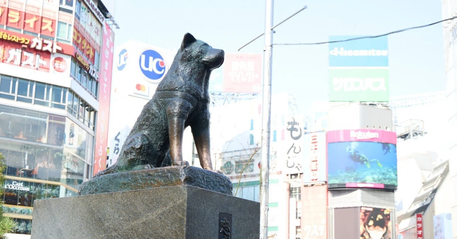 3月8日は忠犬ハチ公の命日 〜91年経っても色褪せない、忠義の物語