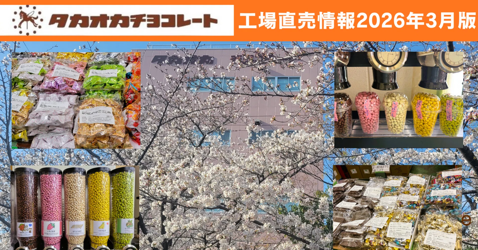 タカオカチョコレート工場直売情報2026年3月版！具体的な内容と初心者