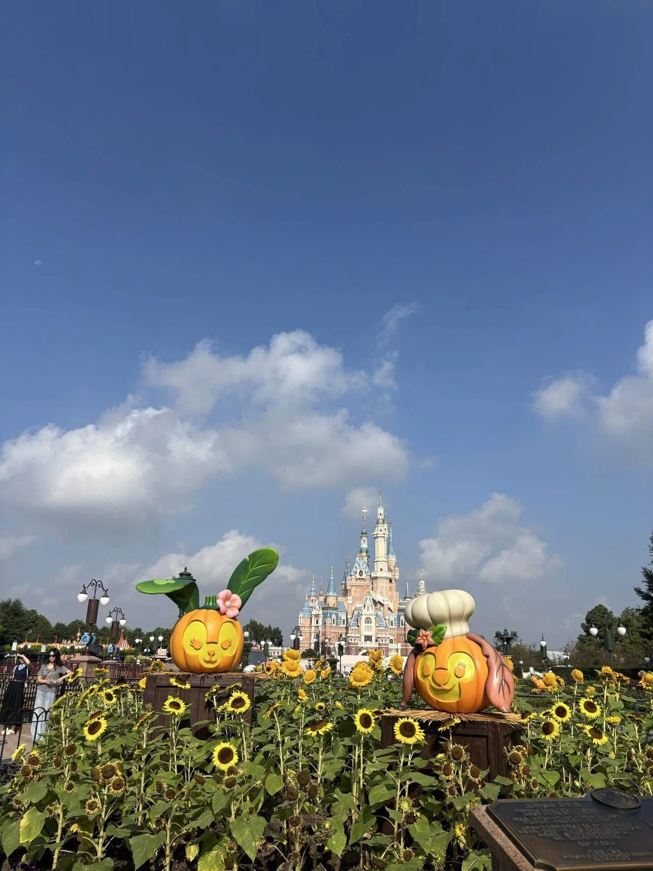 旅の記録】上海🇨🇳①｜上海ディズニー1日目｜ぐるぐる