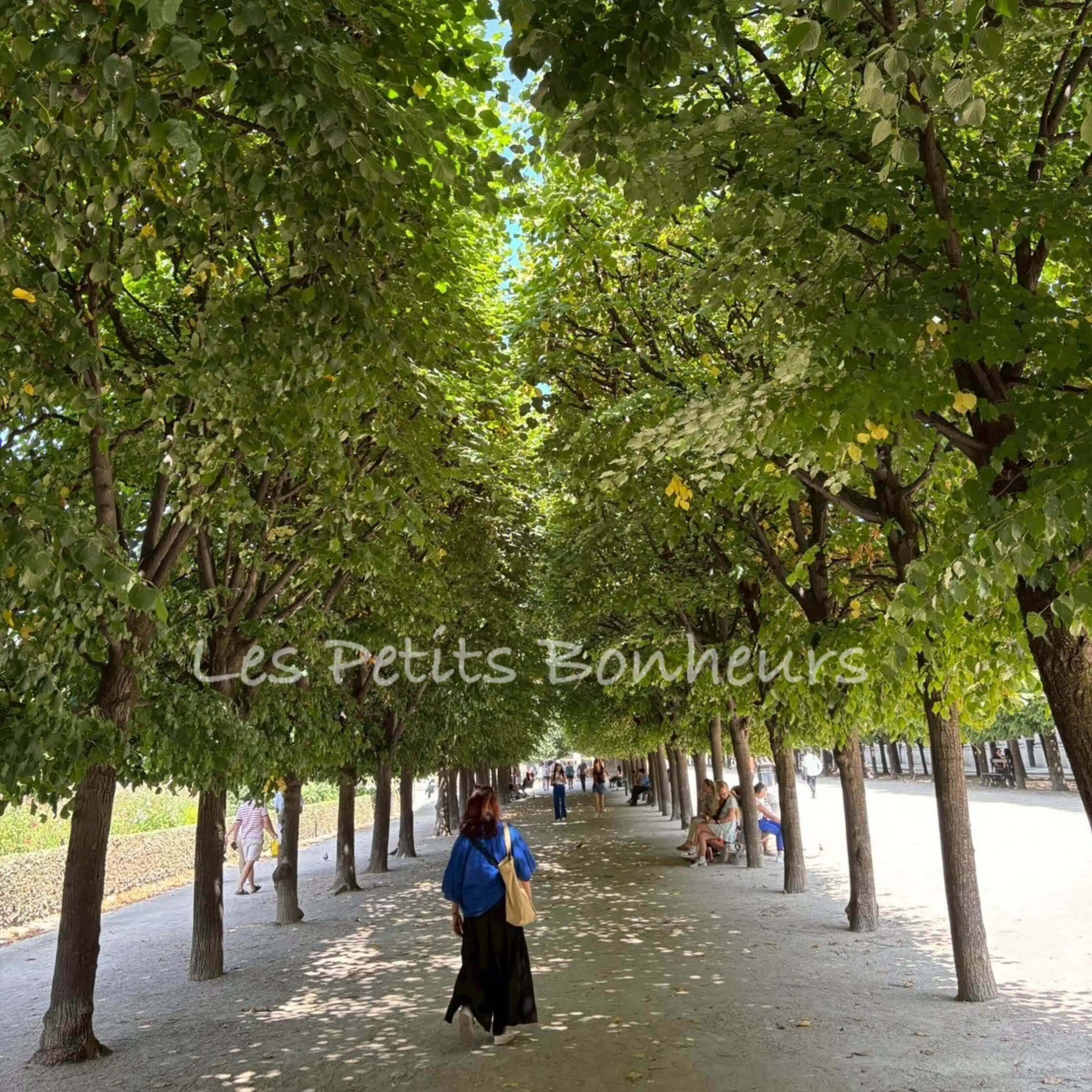 Hitomi/Les  Petits Bonheurs