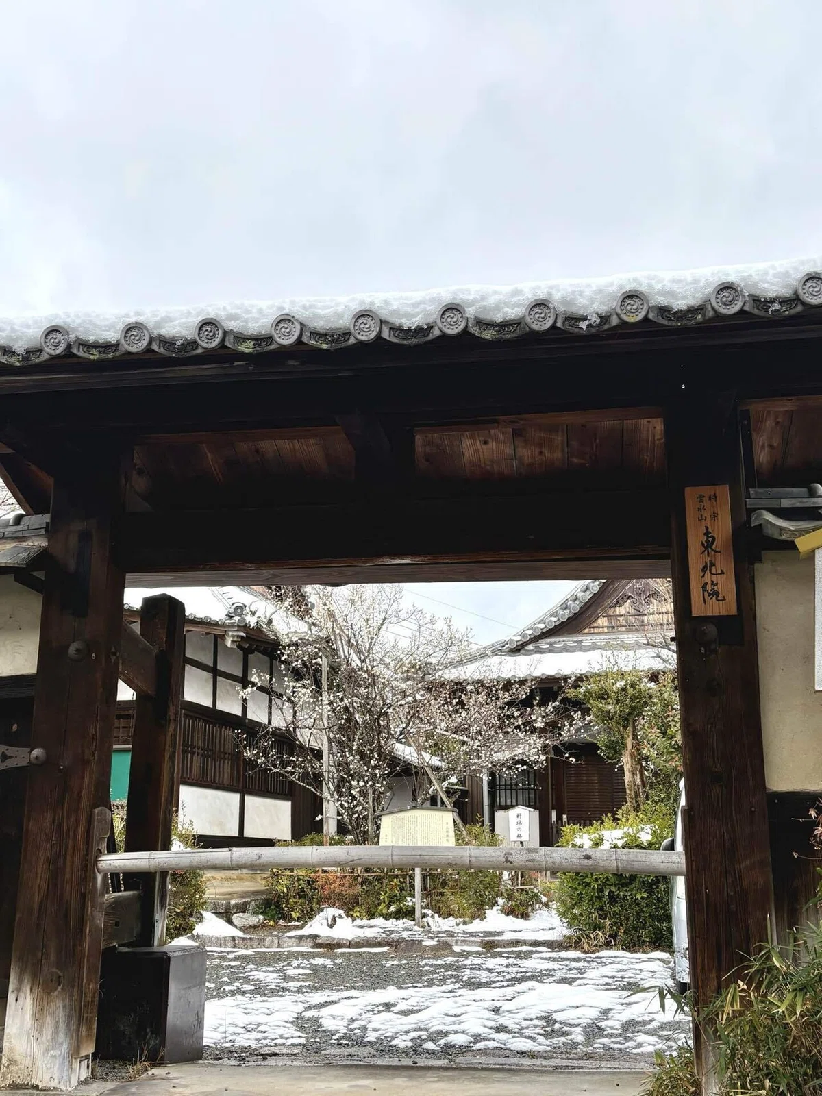 京都・能楽聖地巡り 和泉式部の軒端の梅を訪ねて ― 能「東北」の東北院|眞坂私香(まざかひそか)Hisoka Mazaka