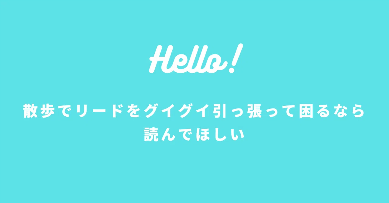 見出し画像