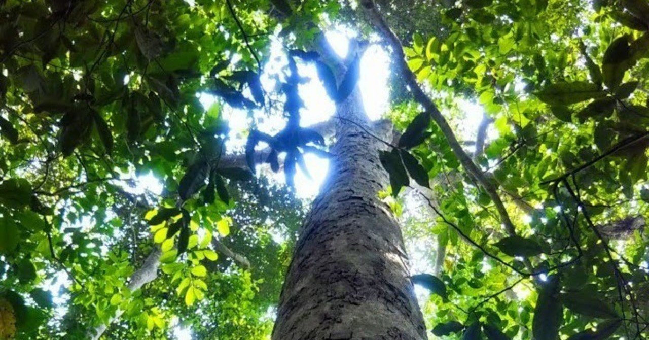 アイデンティティを自分で定義する Jalan Note