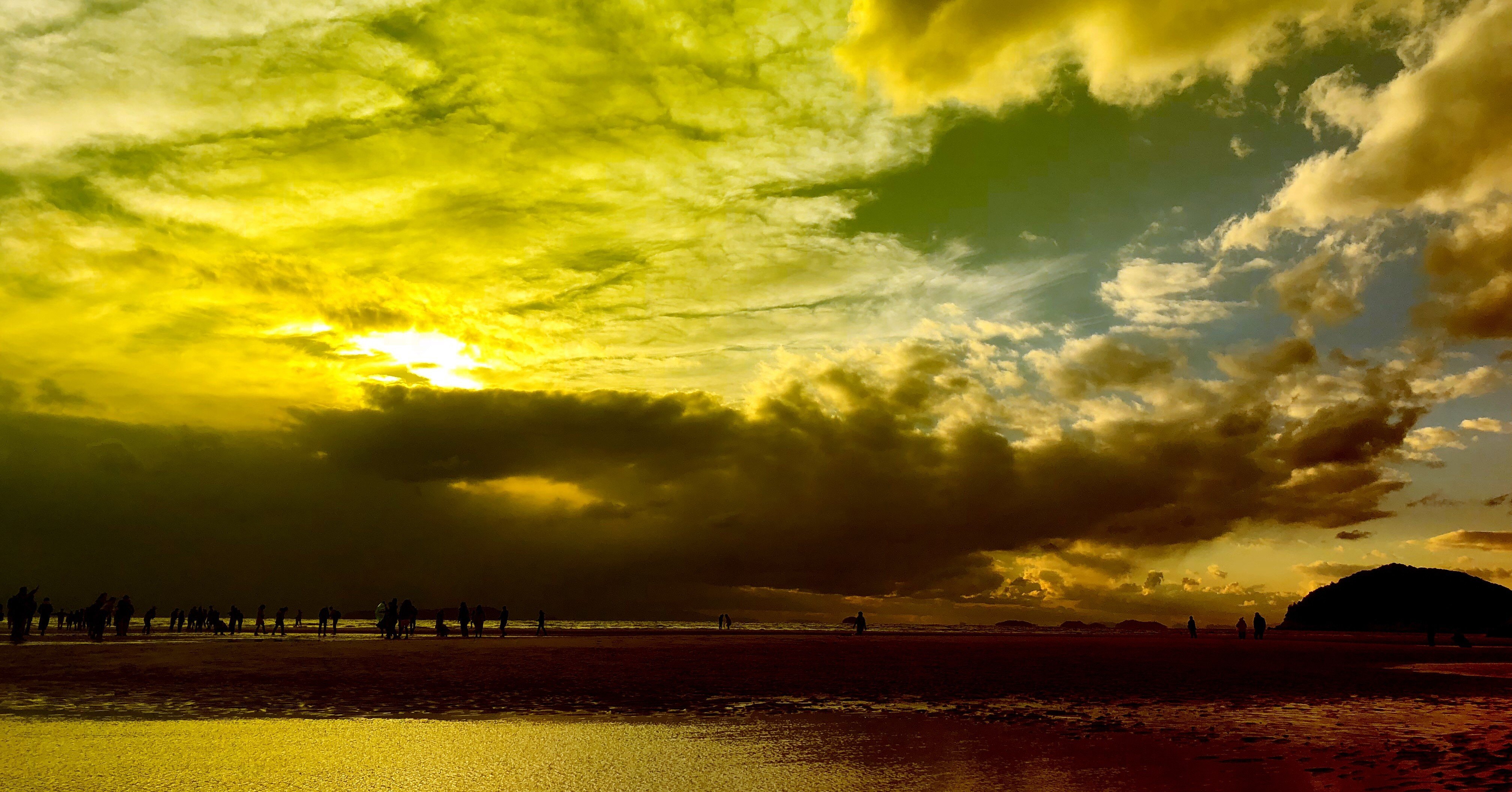 センス オブ ワンダー Jeremy Note