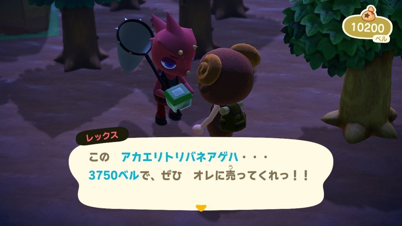 あつ 森 アカエリ トリ バネ