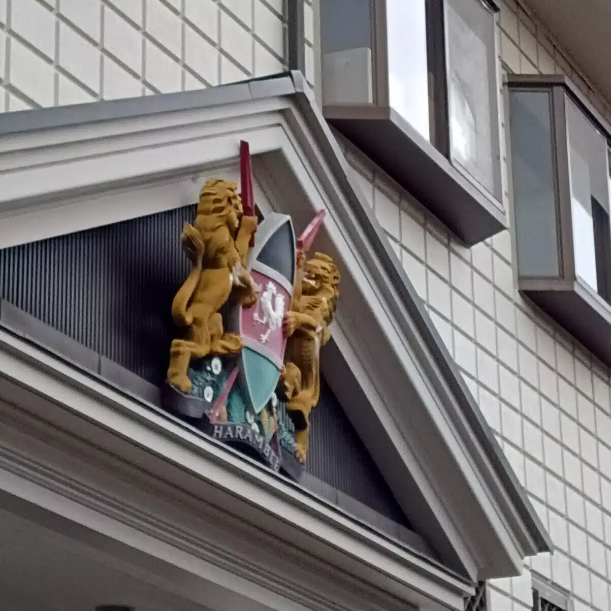 polepole_na_daigakusei