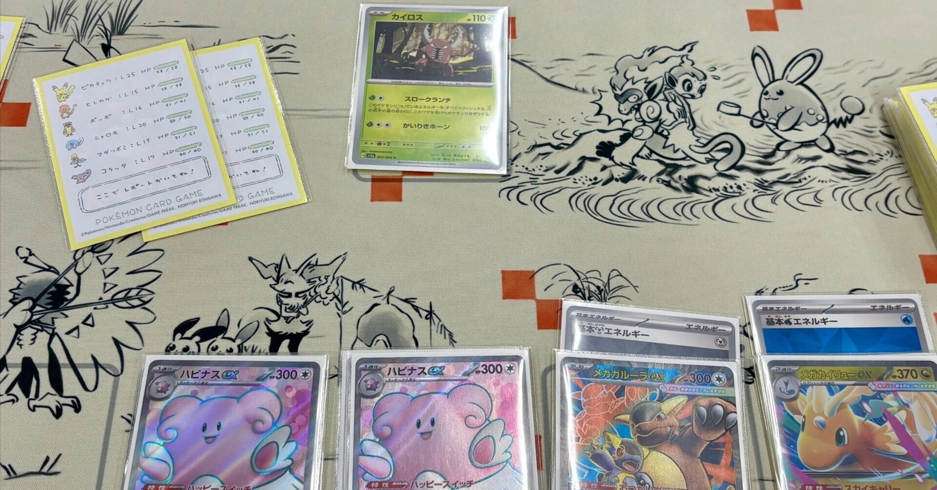 ポケモンカードゲーム サファリゾーンデッキ サファリゾーンデッキ】〜FRLG発売おめでとう〜｜イゲ／ポケカライフ