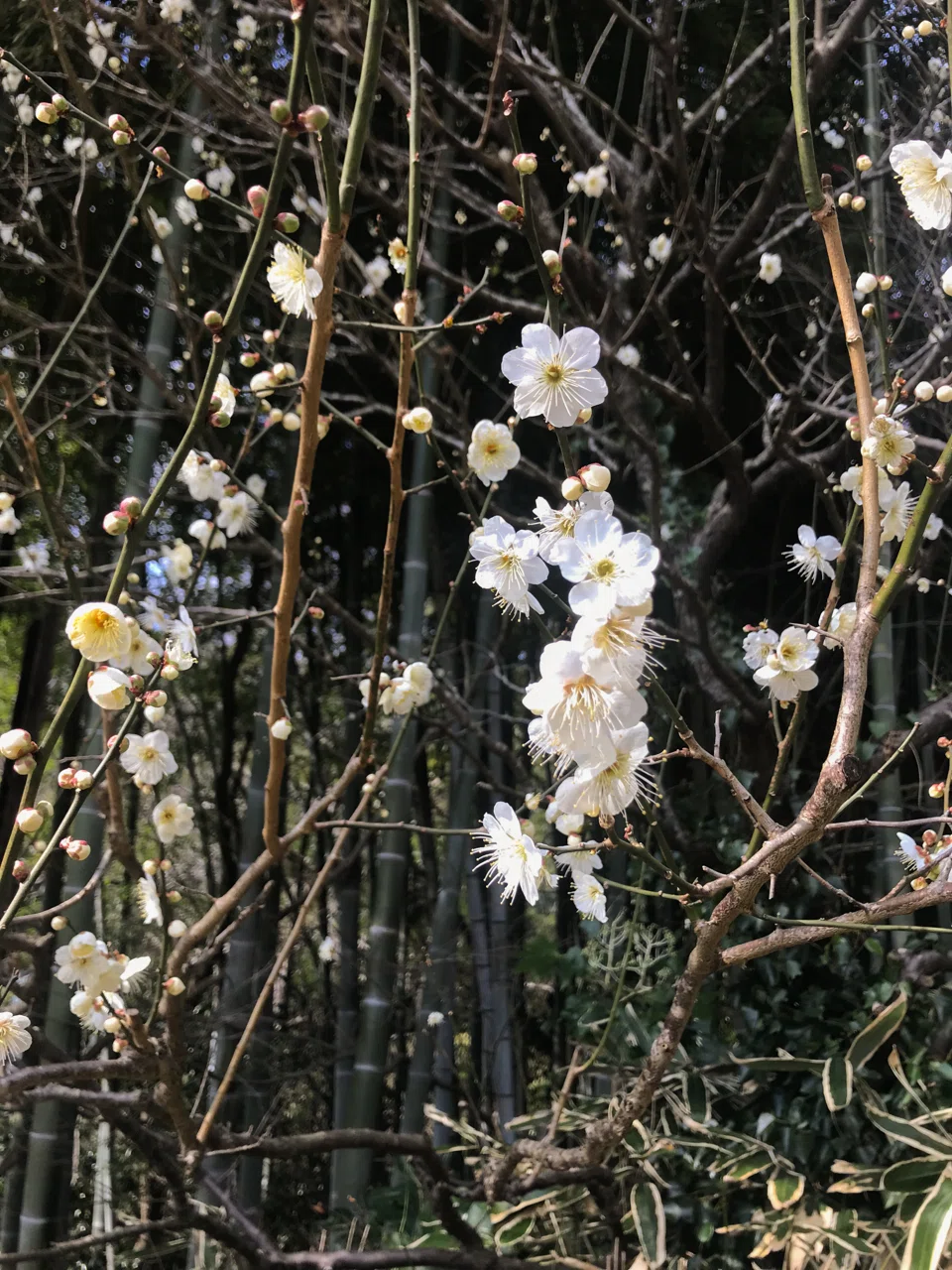 画像9