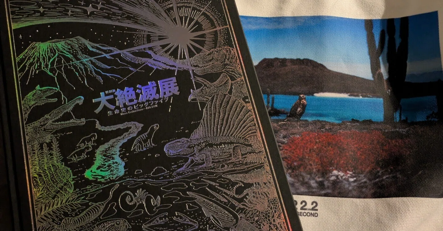 私たちは次の絶滅への途上にいる｜有里（ありさと）