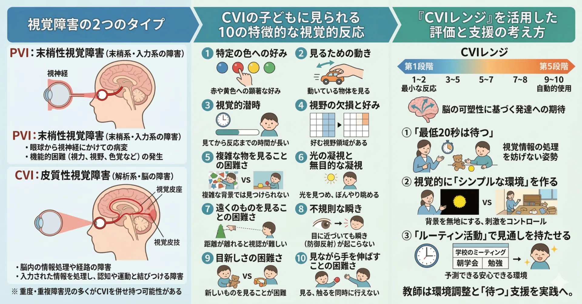 肢体不自由教育】「眼」は健康なのに見えていない？子どもの『皮質性